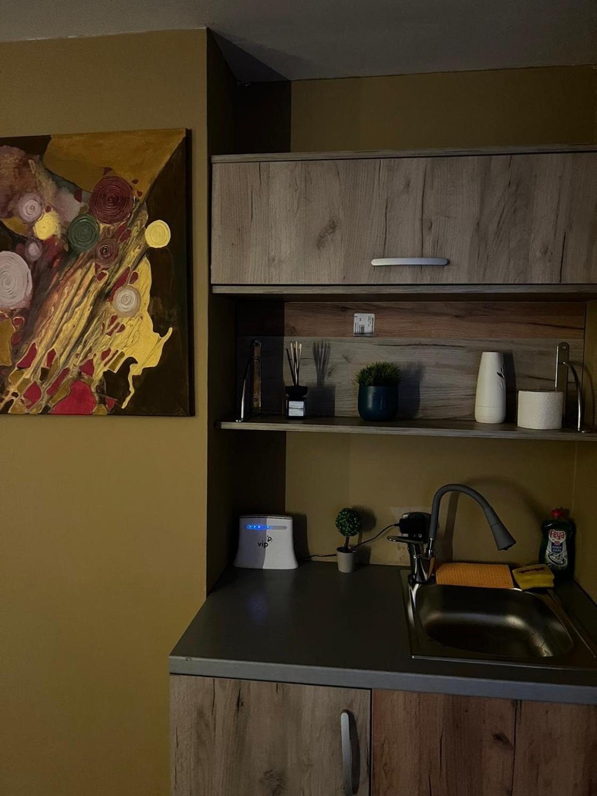 Skopje Apartment Extérieur photo